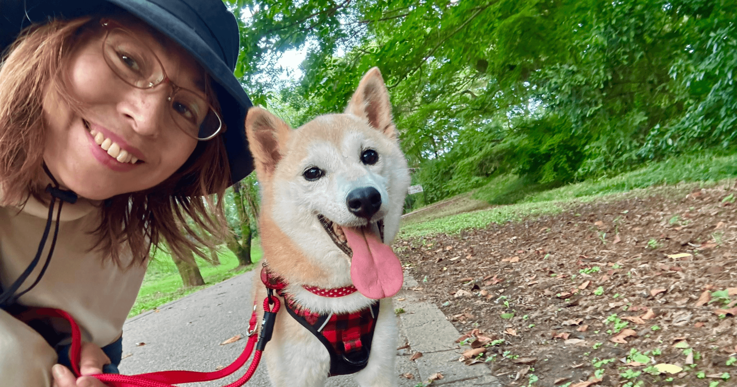 柴犬 Kabosu 主人的新寵 Neiro 成為加密貨幣新寵，相關迷因幣爆紅，但引發版權爭議和炒作風險。新寵 Neiro 爆紅惹議？DOGE 本尊主人：除了「這項目」外，其他都沒有授權