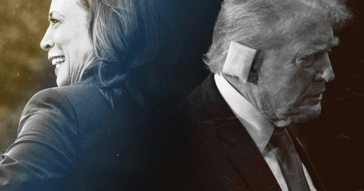 賀錦麗不出席比特幣大會!民調雖領先川普,但幣圈網友不認同?