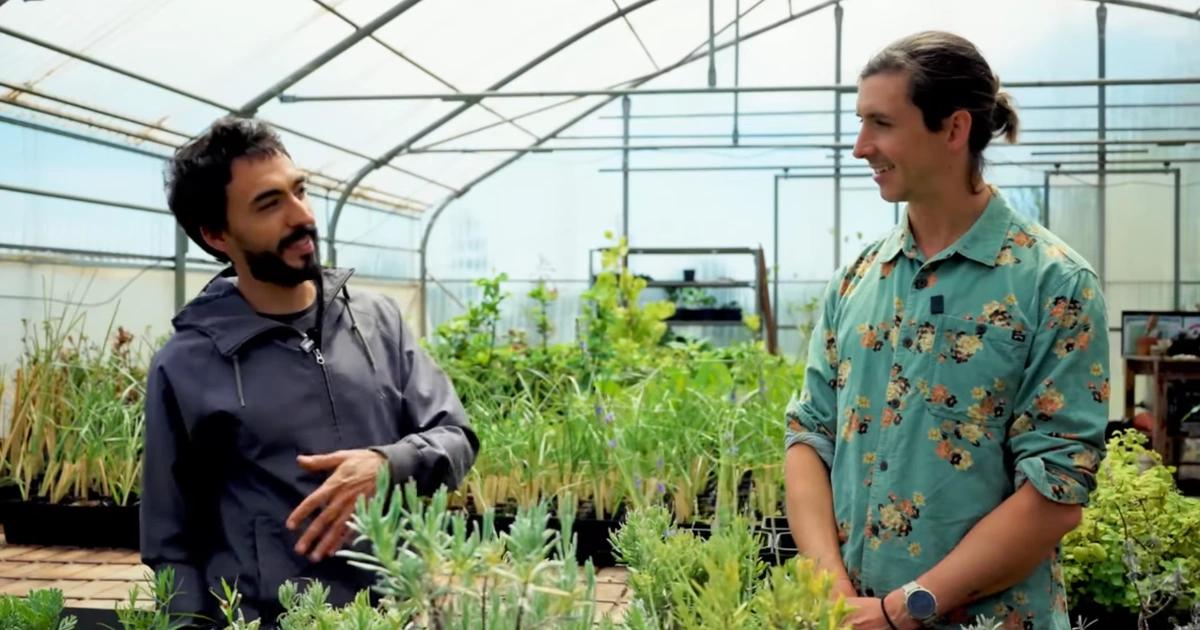 比特幣挖礦也可以很環保!當大家都說挖礦浪費資源,他卻種出有機香草