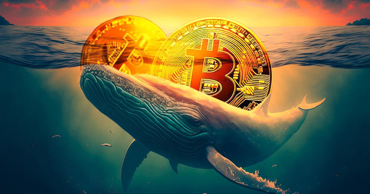 近期,幣圈熱議第三大比特幣錢包的身份。到底,目前比特幣富豪榜前十名分別是哪些機構掌握主導地位!比特幣「前10大富豪榜」揭曉!原來不只交易所,美國政府也在積極囤幣?